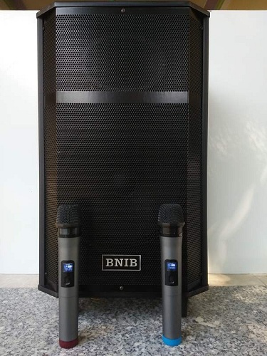 Bộ Loa kéo BNIB 1296 cao cấp Bass 30 tặng 2 Mic_Winmart.onl