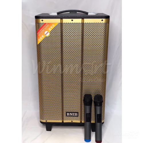 Bộ Loa kéo BNIB 1297 Bass 30 vỏ gỗ tặng 2 Mic_Winmart.onl