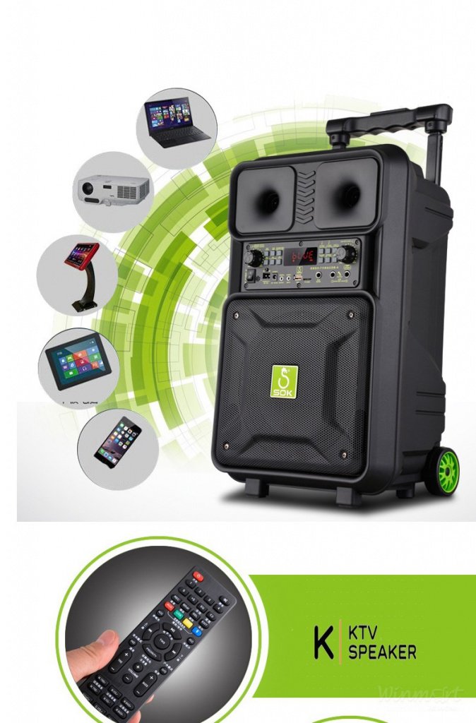 Bộ Micro và Loa phóng thanh SOK NE-801 - Winmart.onl