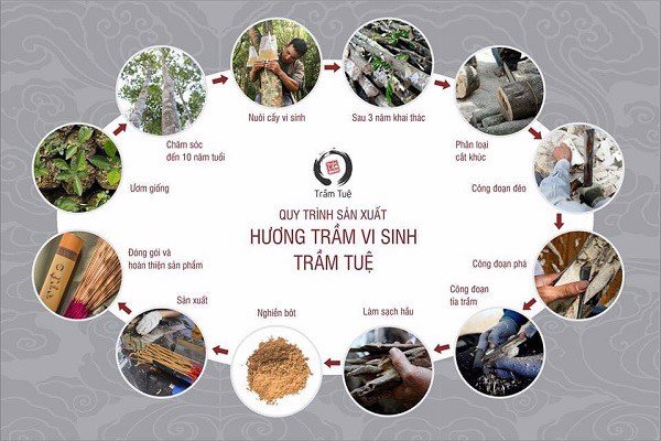 Quy trình sản xuất hương trầm