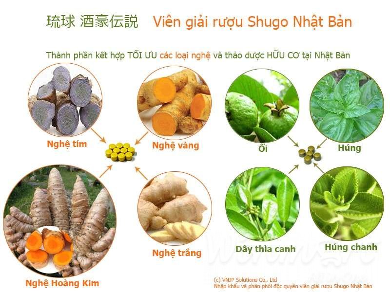 Viên giải rượu Shugo Densetsu thành phần hoàn toàn từ thiên nhiên