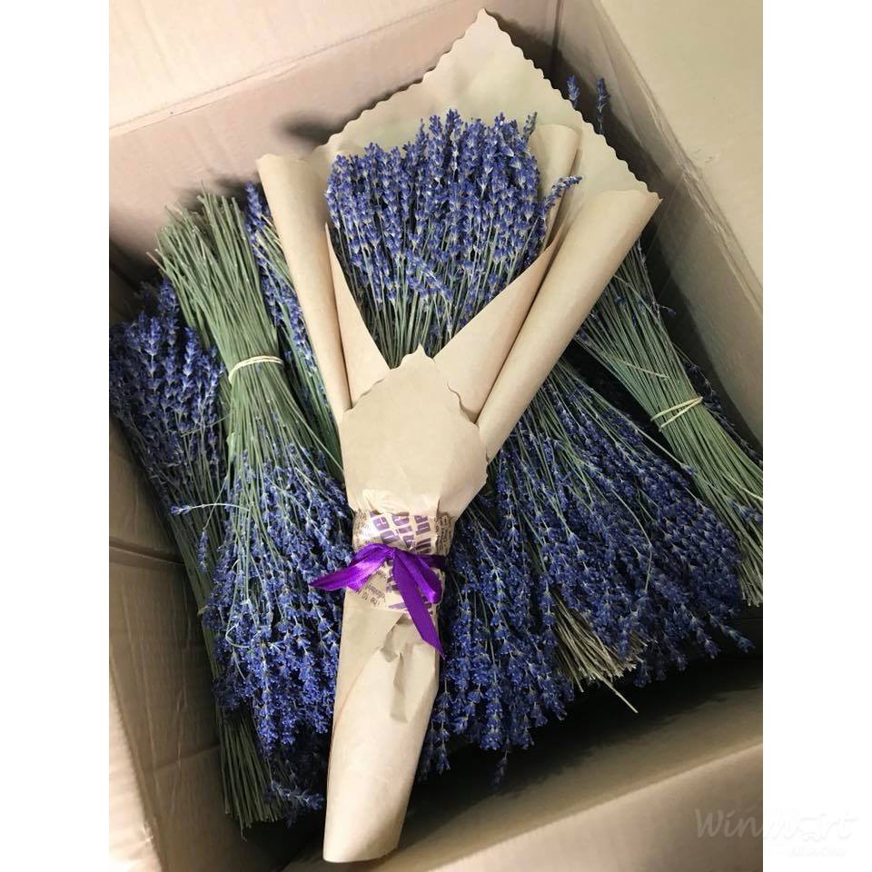 2 Bó hoa Oải Hương (Lavender) khô 130g