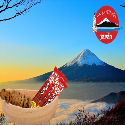 bánh quy peptit socola -winmart.onl